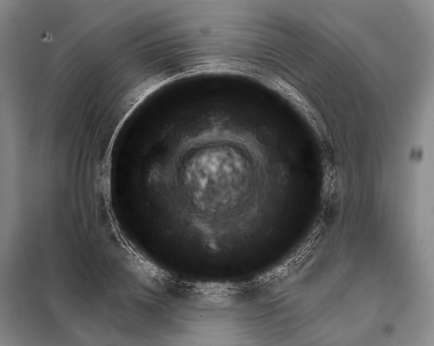 X0000098050836200804181321