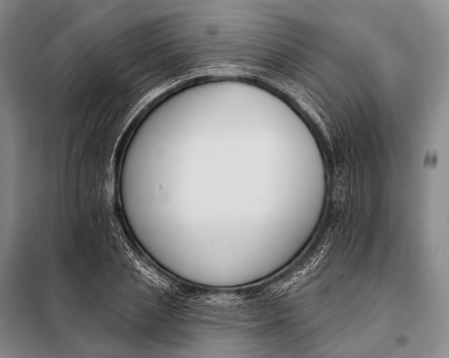 X0000098050837200804181321