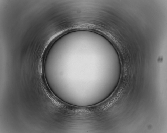 X0000098050838200804181321