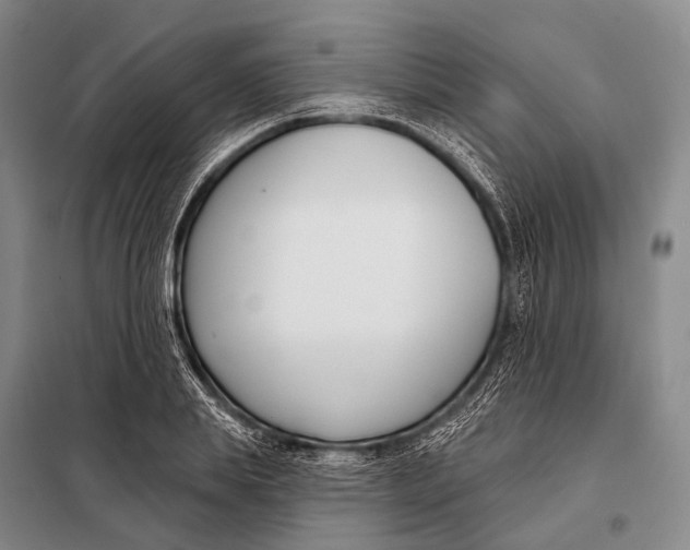 X0000098050839200804181321