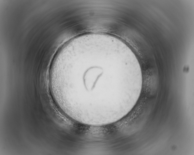 X0000098050840200804181321