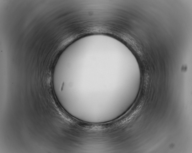 X0000098050841200804181321