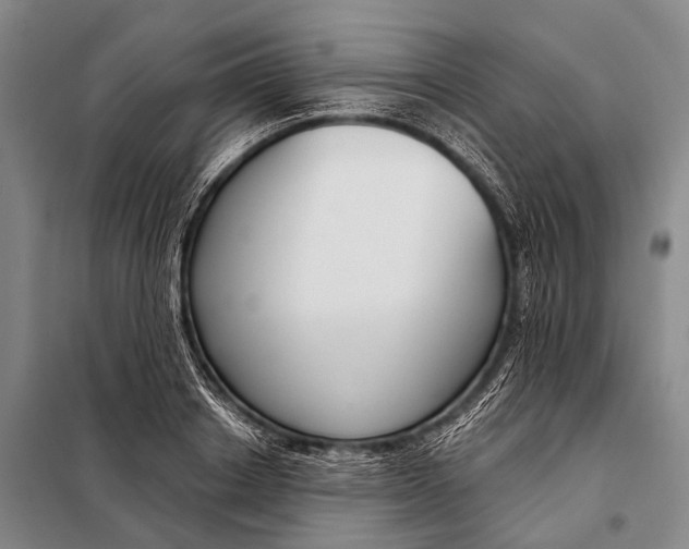 X0000098050842200804181321