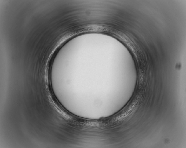 X0000098050843200804181321