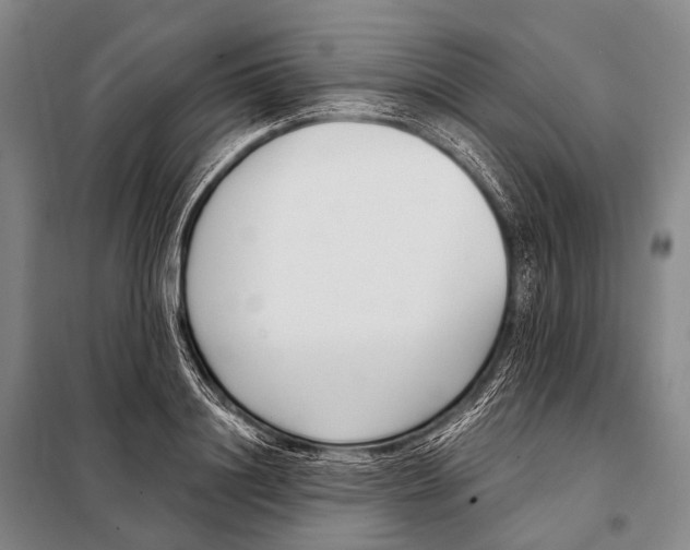 X0000098050844200804181321