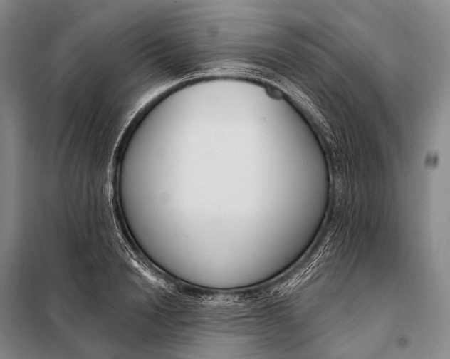 X0000098050846200804181321