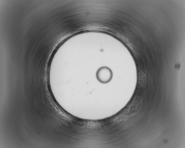 X0000098050848200804181321