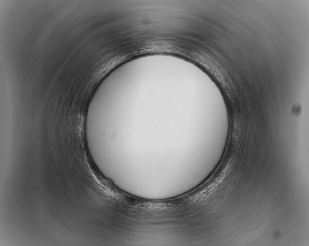 X0000098050849200804181321