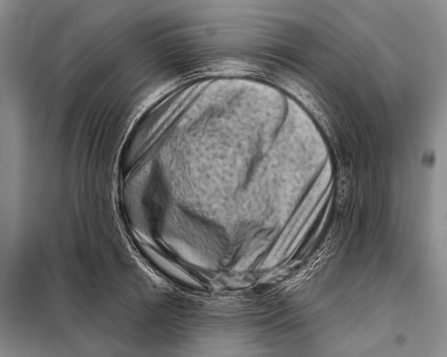 X0000098050850200804181322