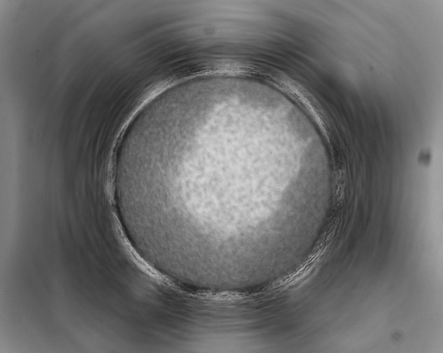 X0000098050851200804181322