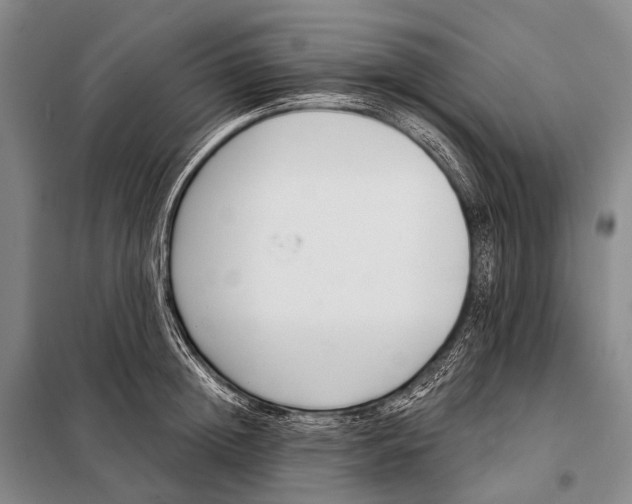 X0000098050852200804181322