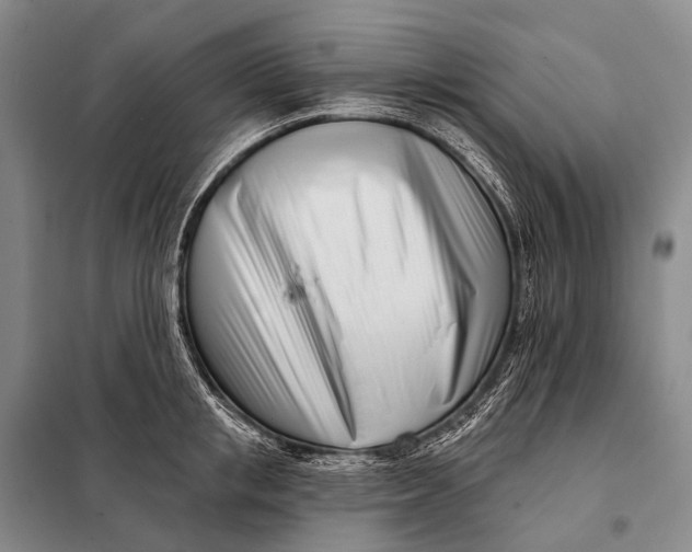 X0000098050853200804181322