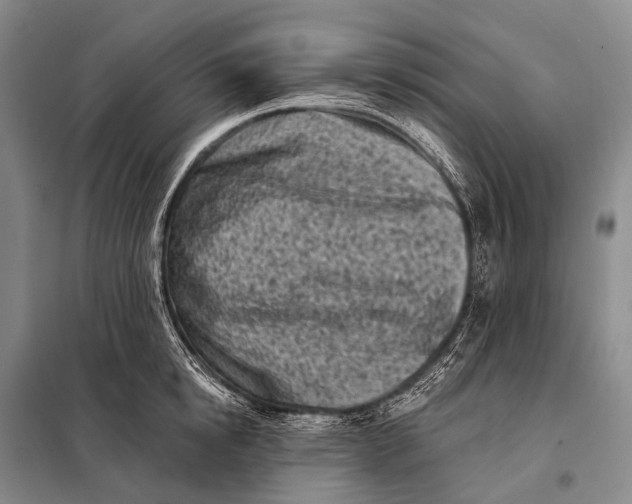 X0000098050854200804181322