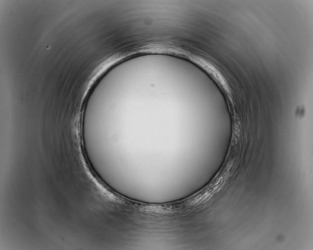 X0000098050855200804181322