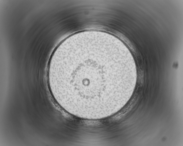 X0000098050856200804181322