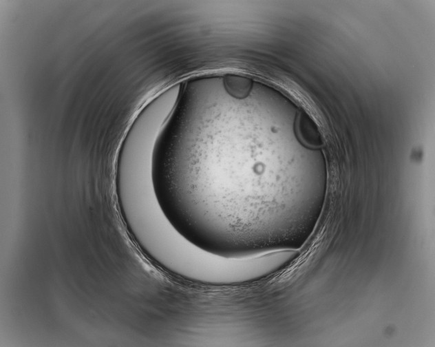 X0000098050858200804181322