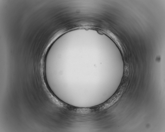 X0000098050859200804181322