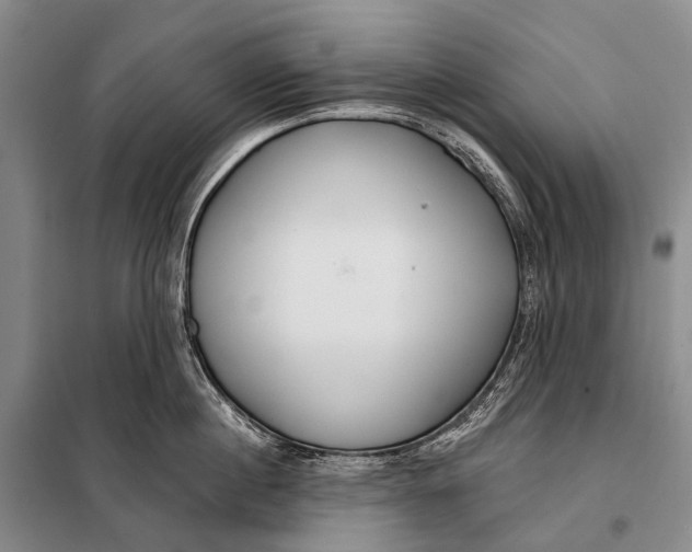 X0000098050860200804181322