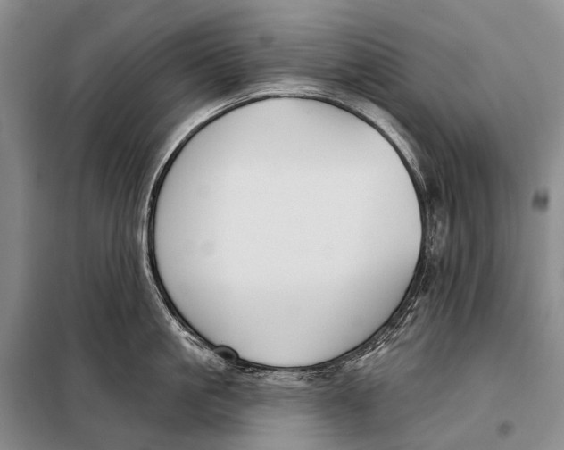 X0000098050861200804181322