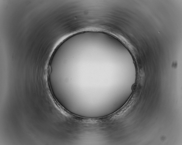 X0000098050862200804181322