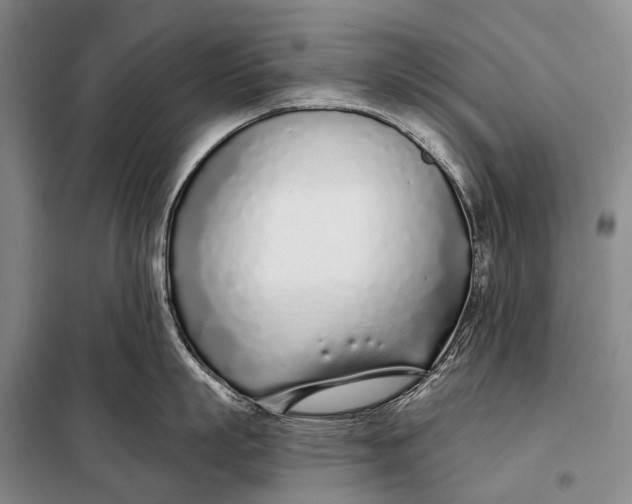 X0000098050863200804181322