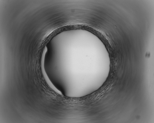 X0000098050871200804181321