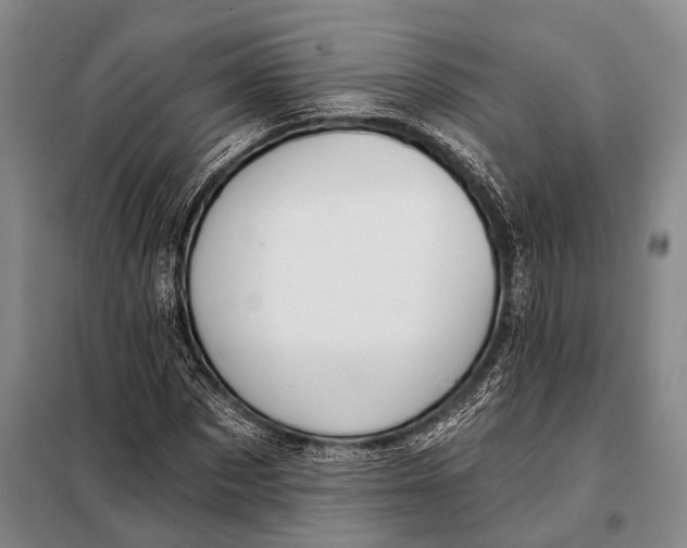 X0000098050873200804181321