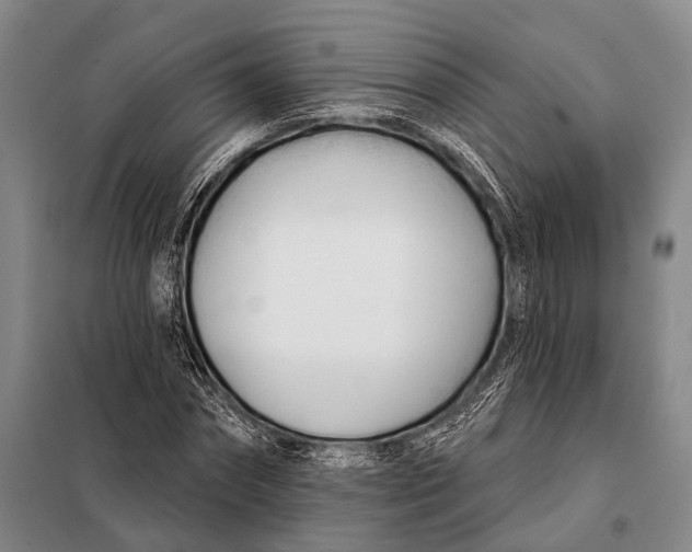 X0000098050874200804181321