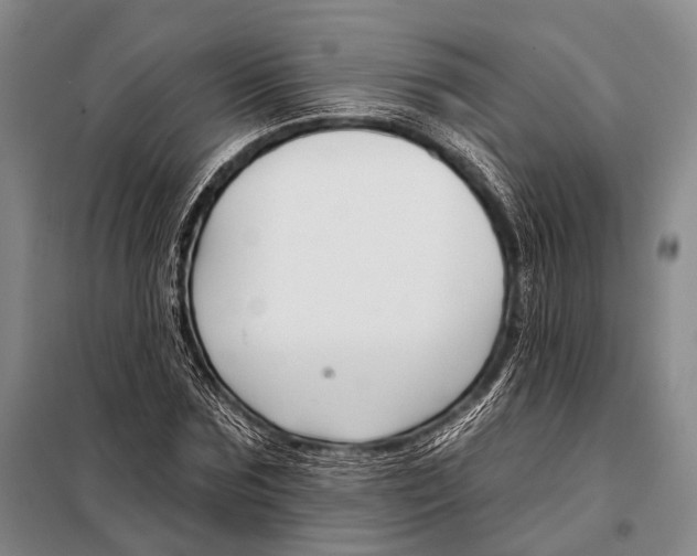 X0000098050875200804181321