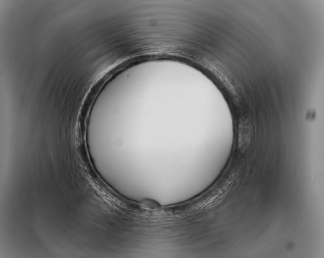 X0000098050876200804181321