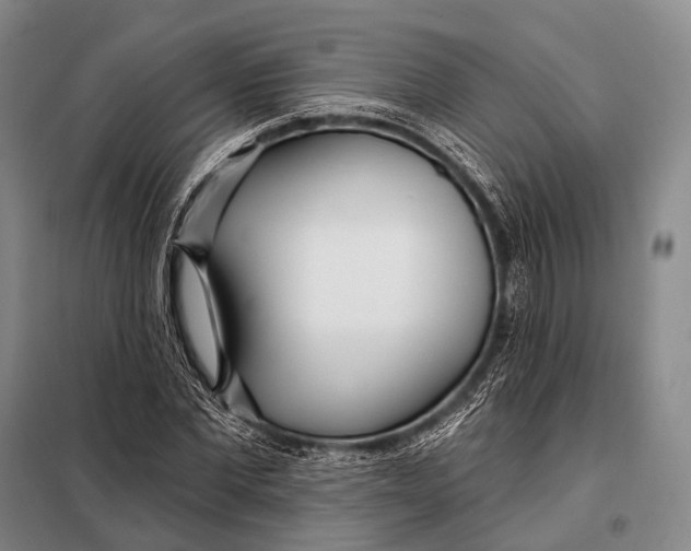 X0000098050877200804181321