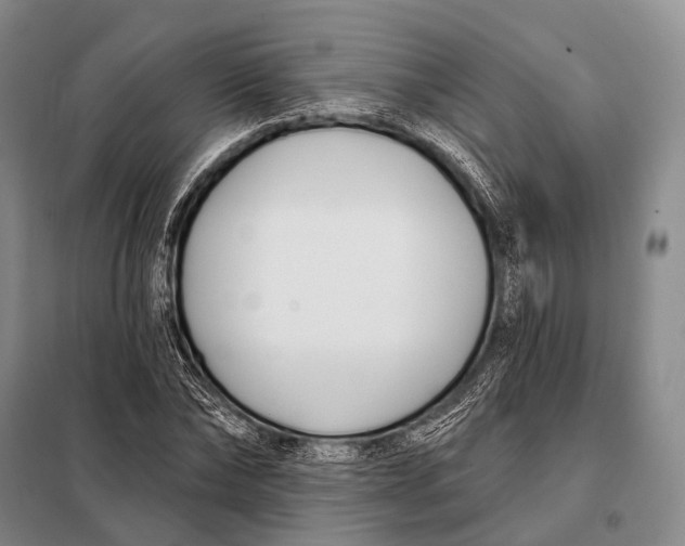 X0000098050878200804181321