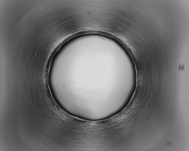 X0000098050879200804181321