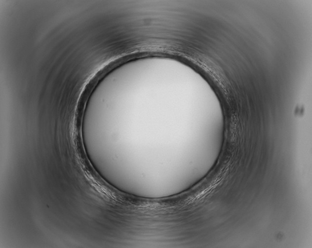 X0000098050880200804181321