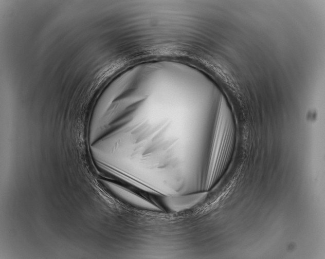 X0000098050881200804181320