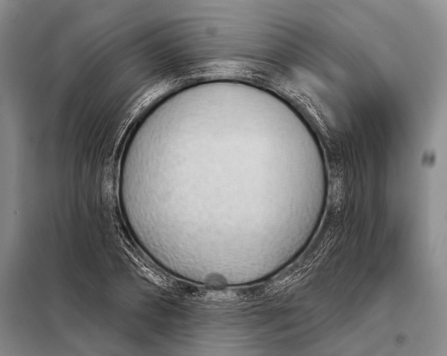 X0000098050882200804181320