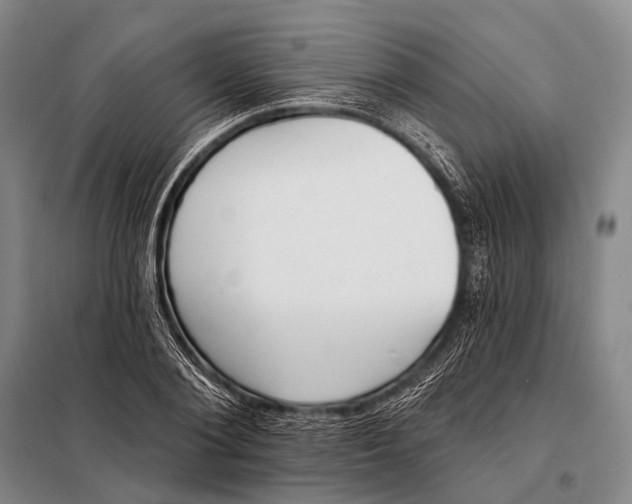 X0000098050884200804181320