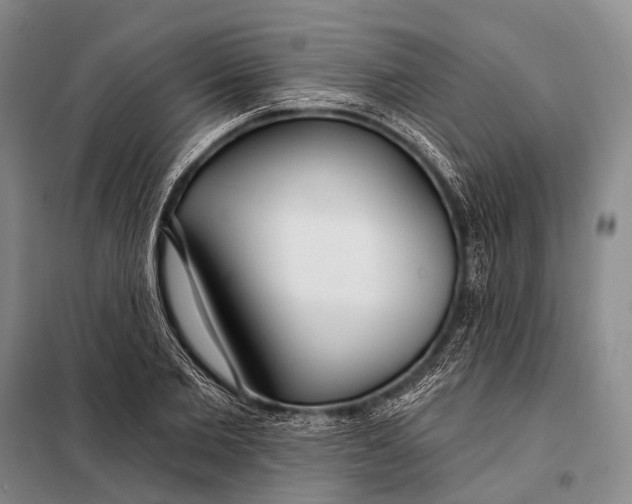 X0000098050885200804181320