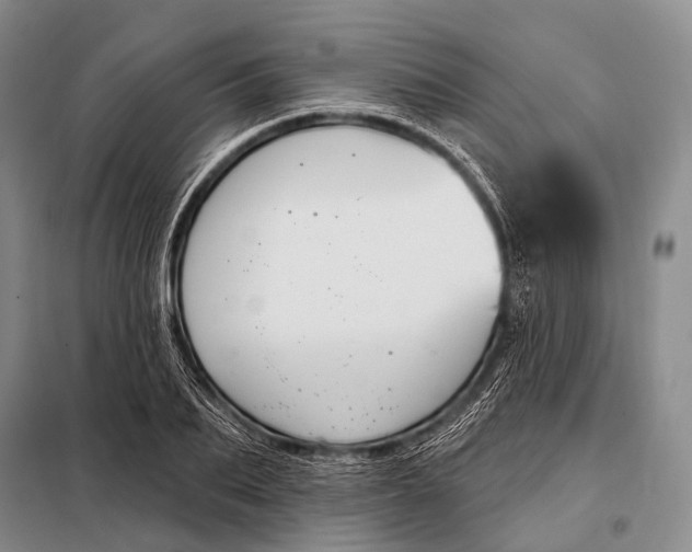 X0000098050887200804181320