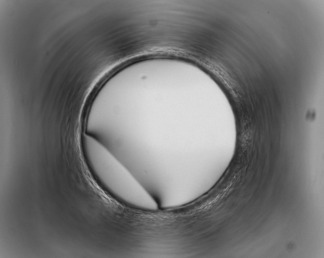 X0000098050888200804181320