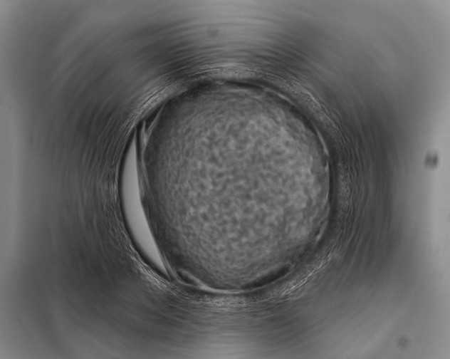 X0000098050889200804181320