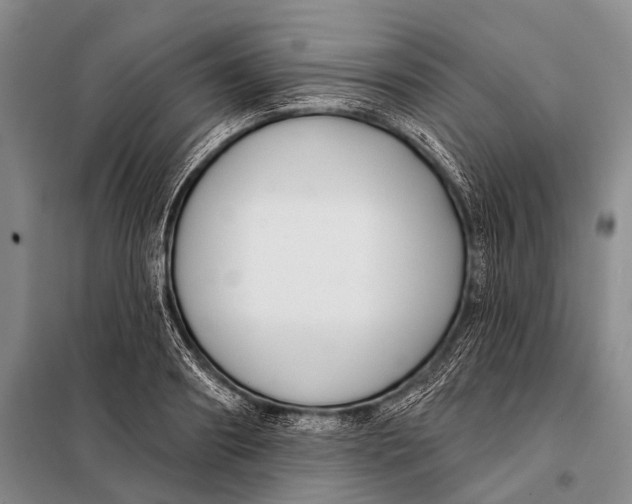 X0000098050890200804181320