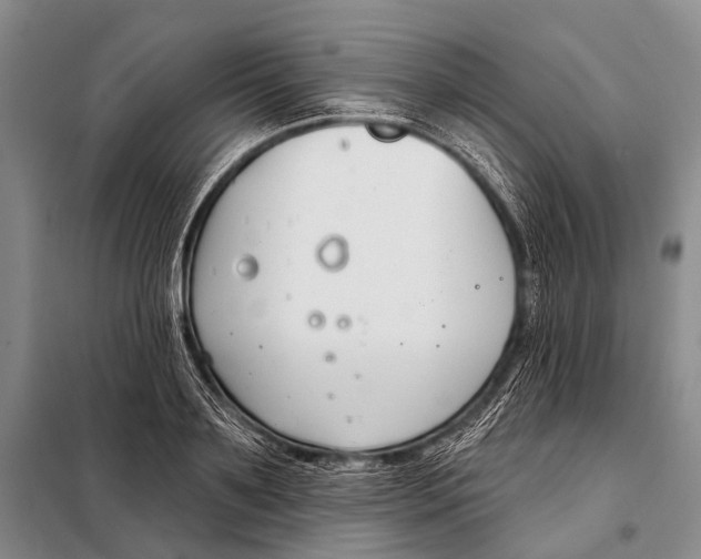 X0000098050891200804181320