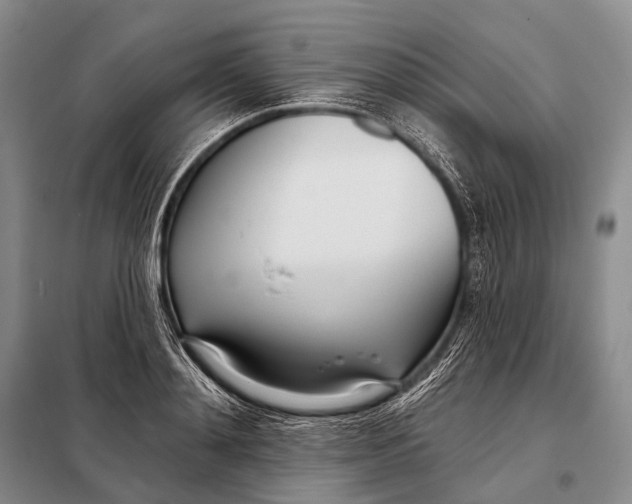 X0000098050892200804181320