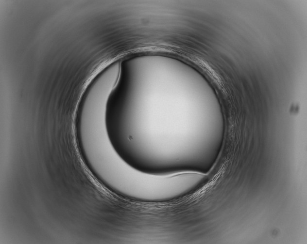 X0000098050893200804181320