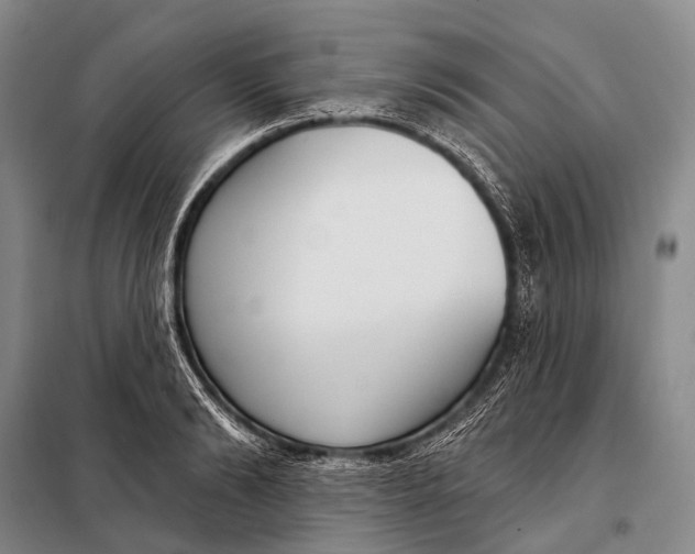 X0000098050894200804181320