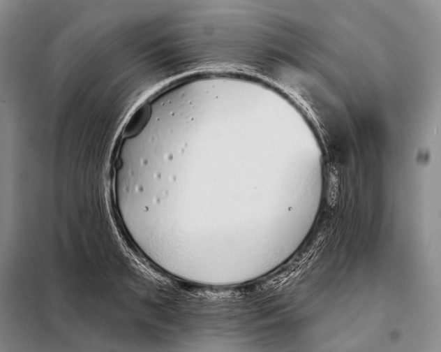 X0000098050895200804181320