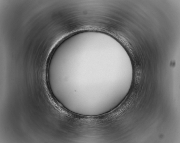 X0000098050896200804181320