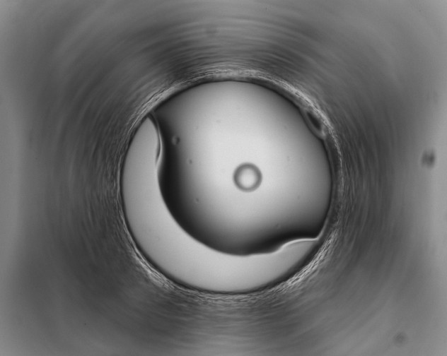 X0000098050897200804181320