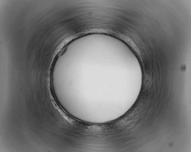 X0000098050898200804181320